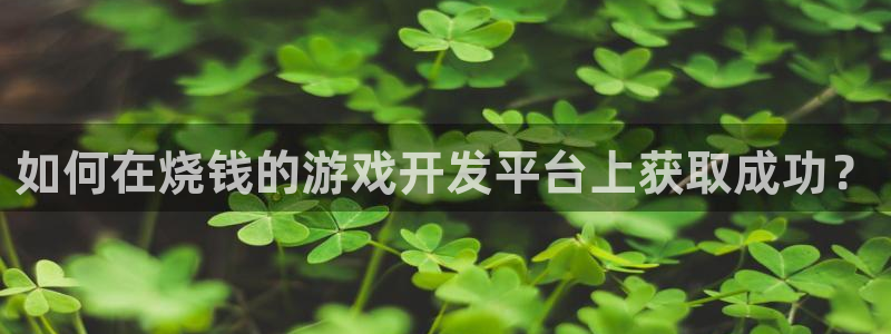 沐鸣娱乐2测速登陆：如何在烧钱的游戏开发平台上获取成功？
