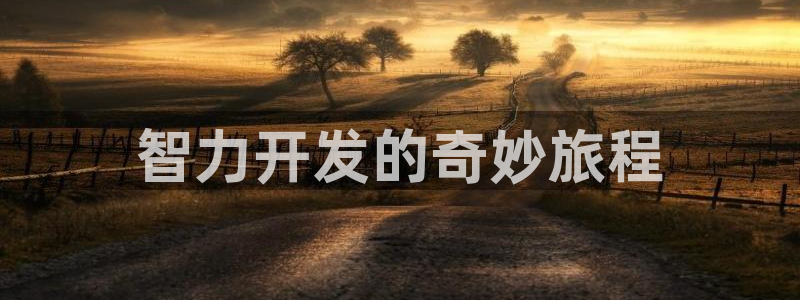 沐鸣娱乐2官方平台：智力开发的奇妙旅程